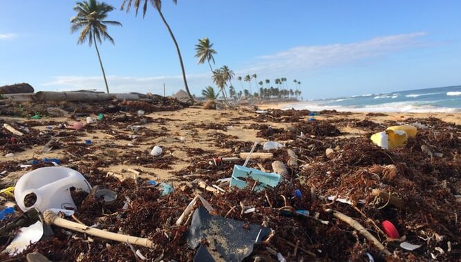 Ein Teil eines Strandes, der mit Müll verschmutzt ist