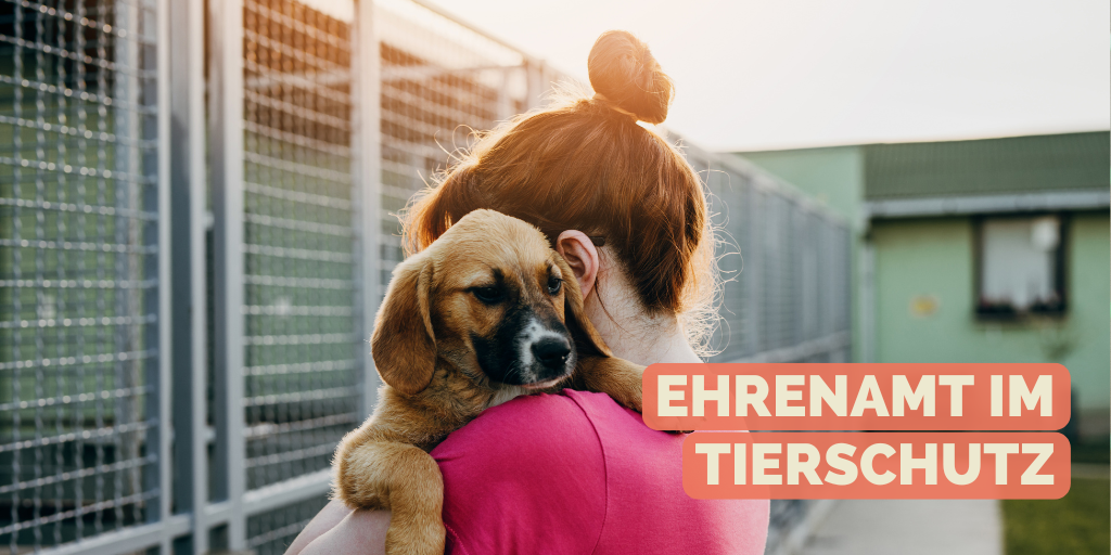 Titelbild: Ehrenamt im Tierschutz