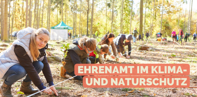 Menschen enegangieren sich zusammen in einem Wald an einem Naturschutzprojekt.