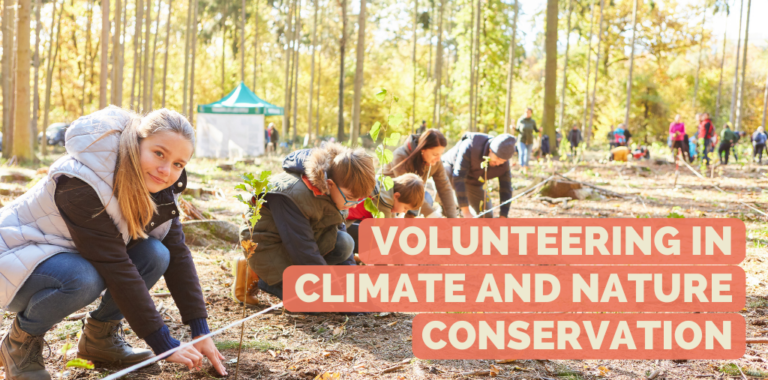 People volunteering in the woods.